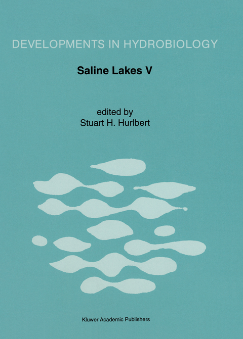 Saline Lakes V - 