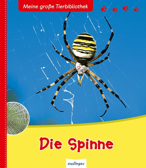 Meine große Tierbibliothek: Die Spinne - Anne Vallet