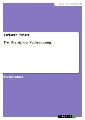 Das Prinzip der Verbrennung - Benjamin Pichert