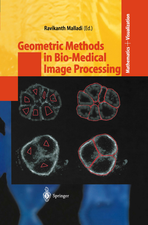 Geometric Methods in Bio-Medical Image Processing - 