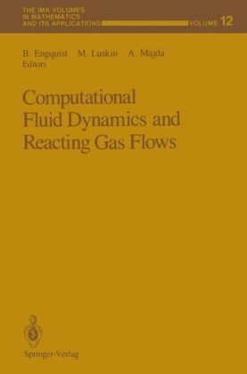 Computational Fluid Dynamics and Reacting Gas Flows - 