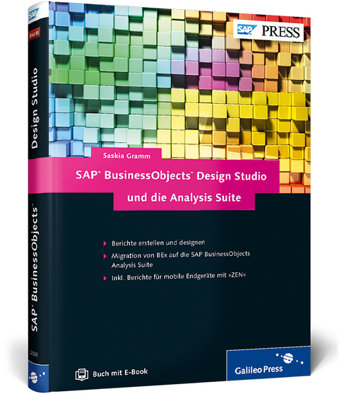 SAP BusinessObjects Design Studio und die Analysis Suite - Saskia Gramm