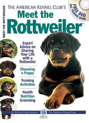 Meet the Rottweiler -  American Kennel Club