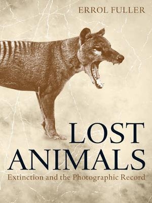 Lost Animals - Errol Fuller