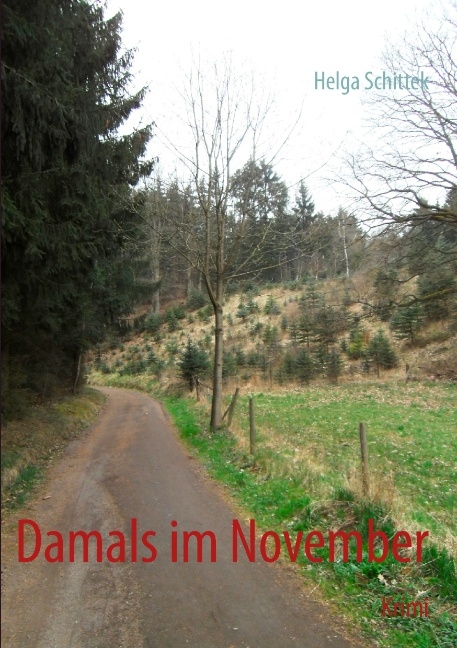 Damals im November - Lena Werdecker