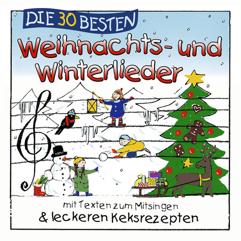 Die 30 besten Weihnachts- und Winterlieder, 1 Audio-CD