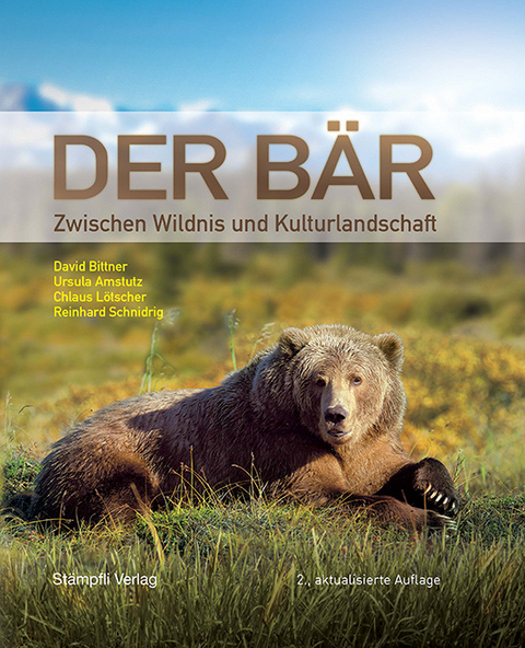 Der Bär - David Bittner