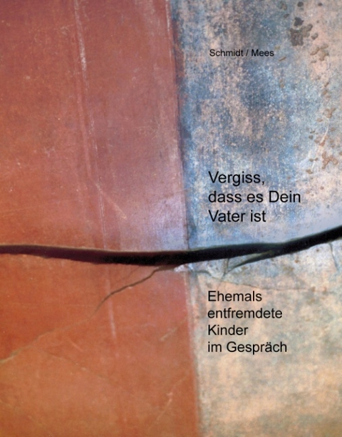 Vergiss, dass es Dein Vater ist! - Elisabeth Schmidt, Allard Mees