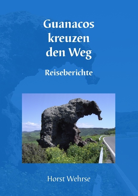 Guanacos kreuzen den Weg - Horst Wehrse