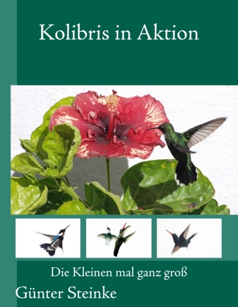 Kolibris in Aktion - Günter Steinke