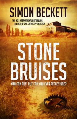 Stone Bruises - Simon Beckett