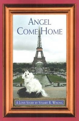 Angel Come Home - Stuart Wisong