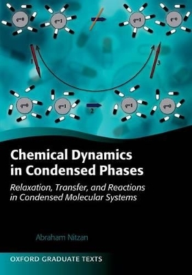 Chemical Dynamics in Condensed Phases - Abraham Nitzan