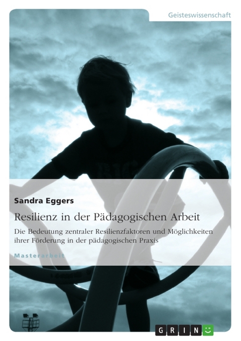 Resilienz in der Pädagogischen Arbeit - Sandra Eggers