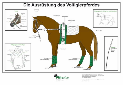 Die Ausrüstung des Volitierpferdes