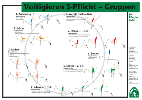 Voltigieren S-Pflicht – Gruppen - 