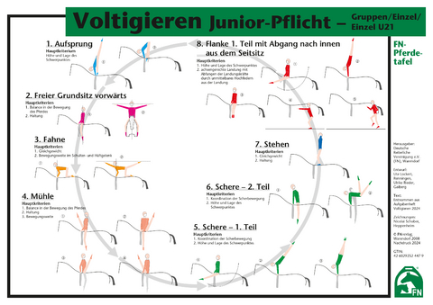 Voltigieren Junior-Pflicht – Gruppen/Einzel/Einzel U21 - 