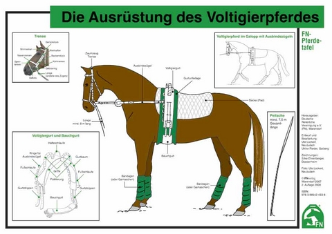 Die Ausrüstung des Voltigierpferdes - 