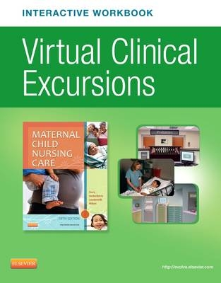 Virtual Clinical Excursions Online and Print Workbook for Maternal Child Nursing Care - Shannon E Perry, Marilyn J Hockenberry, Deitra Leonard Lowdermilk