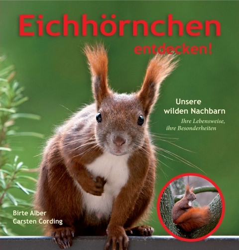 Eichhörnchen entdecken! - Birte Alber Carsten Cording