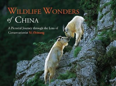 Wildlife Wonders of China - XI Zhinong, Shen Cheng