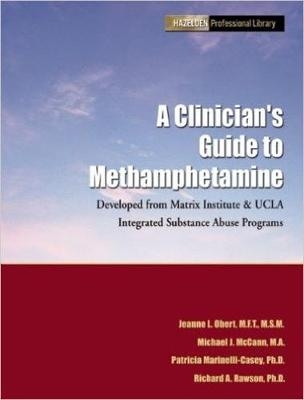 A Clinician's Guide to Methamphetamines - Jeanne L. Obert