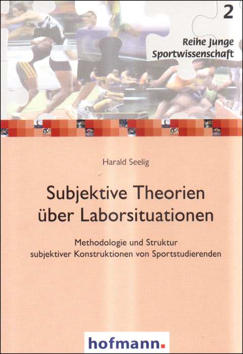 Subjektive Theorien über Laborsituationen - Harald Seelig