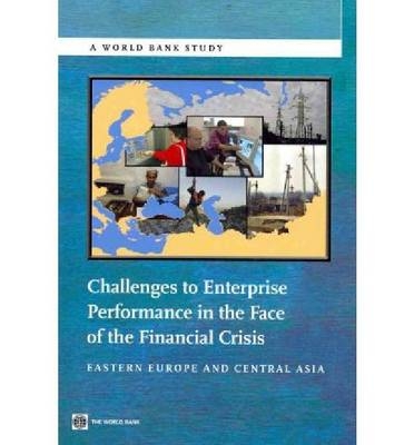 Challenges to Enterprise Performance in the Face of the Financial Crisis - World Bank