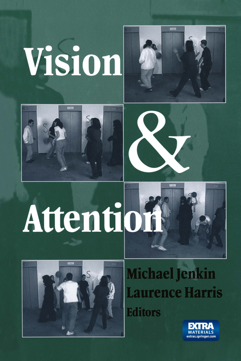 Vision and Attention - 