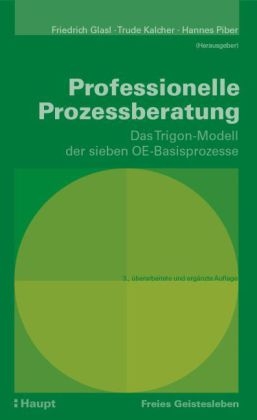 Professionelle Prozessberatung - 