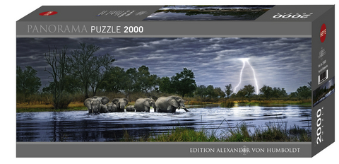 Herd of Elephants Puzzle - Alex Bernasconi