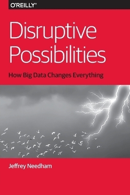 Disruptive Possibilities: How Big Data Changes Everything - Jeffrey Needham