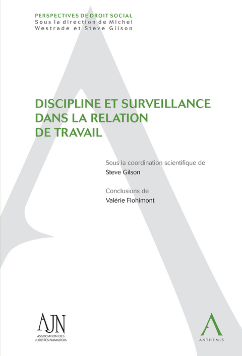 Discipline et surveillance dans la relation de travail -  Collectif,  Steve (sous la coordination de) Gilson