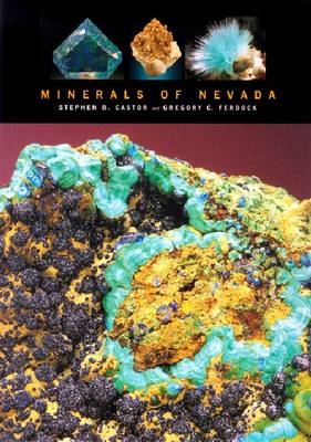 Minerals of Nevada - Stephen B. Castor, Gregory C. Ferdock