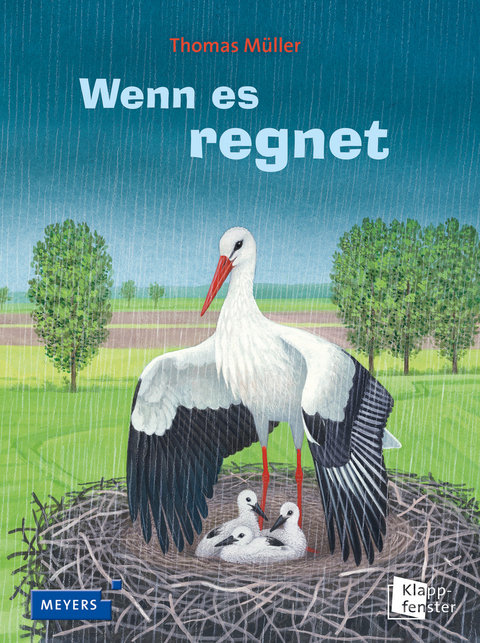 Wenn es regnet - Thomas Müller