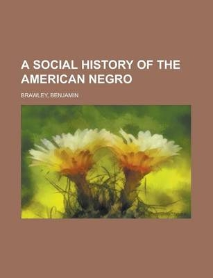 A Social History of the American Negro - Benjamin Griffith Brawley