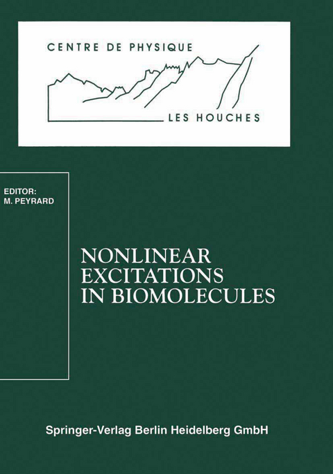 Nonlinear Excitations in Biomolecules - 