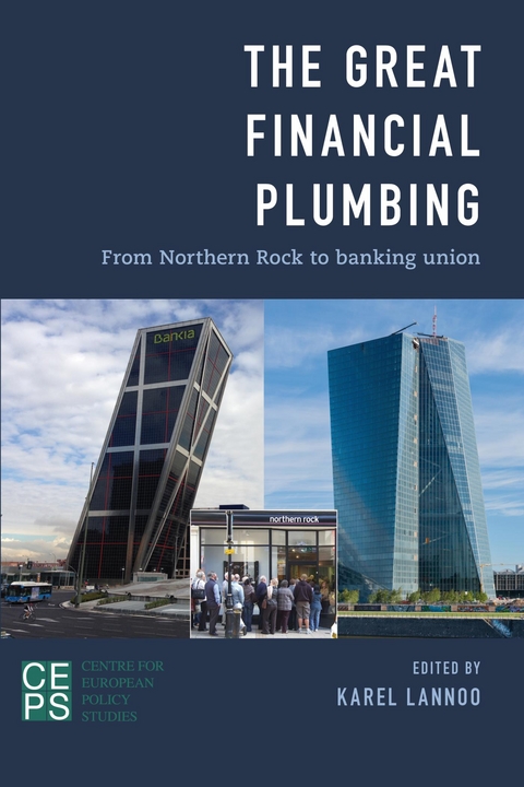 Great Financial Plumbing -  Karel Lannoo