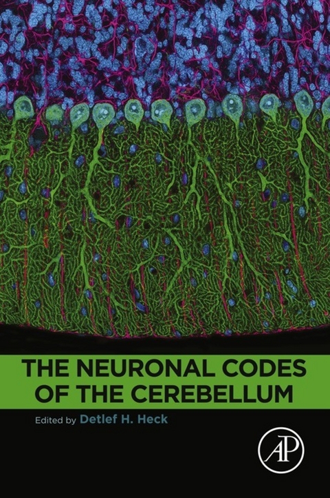 Neuronal Codes of the Cerebellum - 