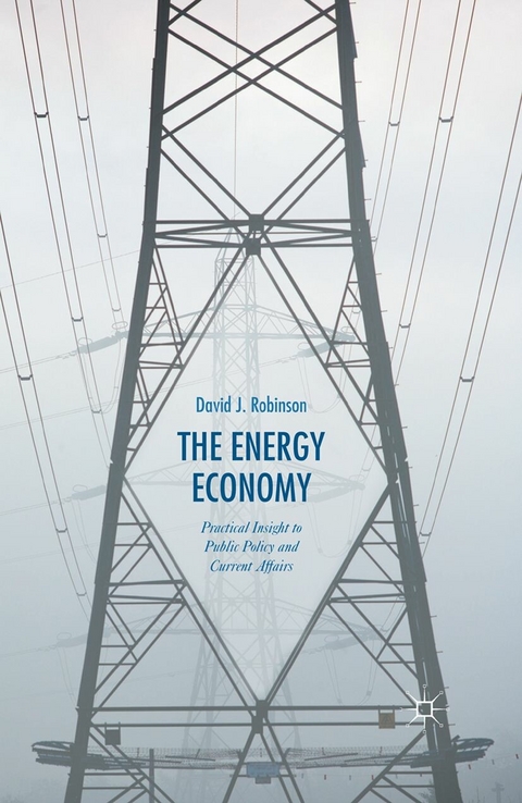 The Energy Economy - David J. Robinson