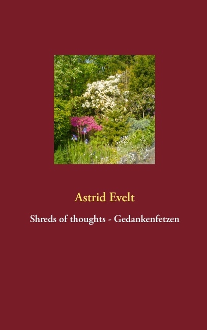 Shreds of thoughts - Gedankenfetzen - Astrid Evelt