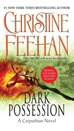 Dark Possession -  Christine Feehan