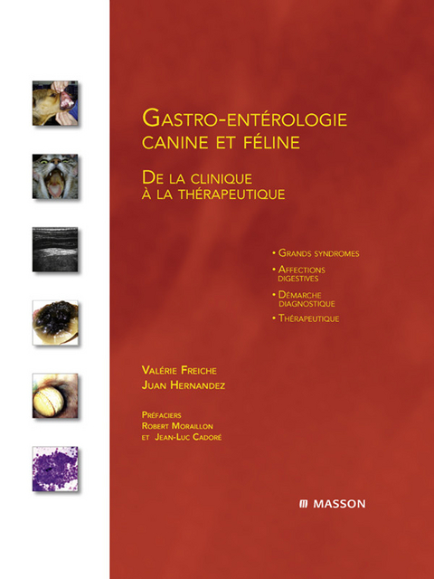 Gastro-entérologie canine et féline -  Valerie Freiche,  Juan Hernandez