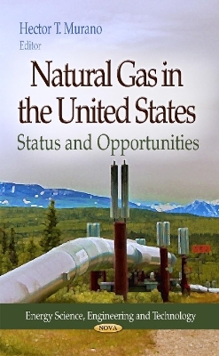 Natural Gas in the United States - 