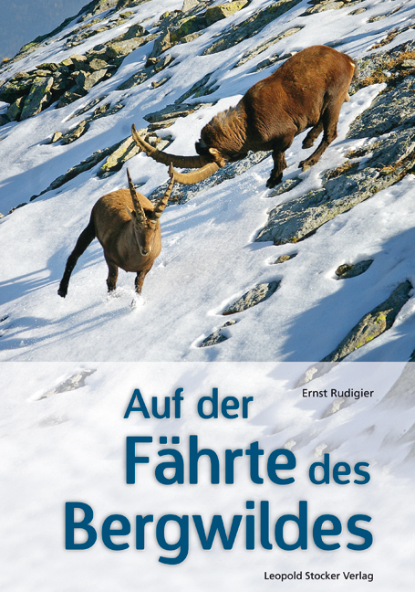 Auf der Fährte des Bergwildes - Ernst Rudigier