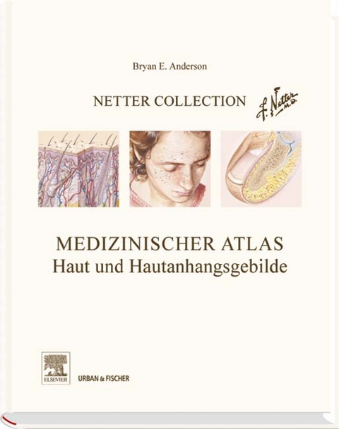 Netter Collection Haut und Hautanhangsgebilde -  ANDERSON