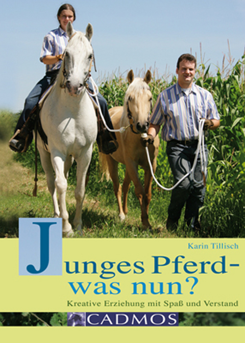 Junges Pferd - was nun? - Karin Tillisch