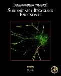 Sorting and Recycling Endosomes - 