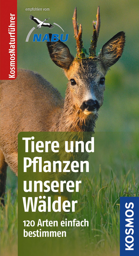 Tiere und Pflanzen unserer Wälder - Ute Wilhelmsen