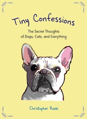 Tiny Confessions - Christopher Rozzi